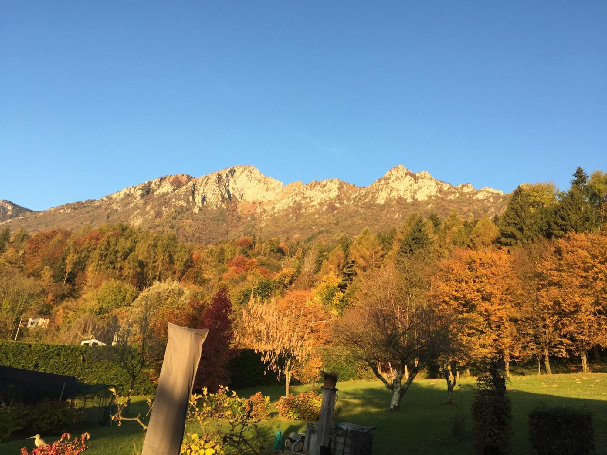 Villa Fiocco Sospirolo Bagian luar foto